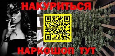 шишки Кандалакша