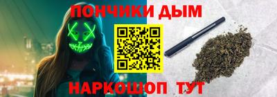 шишки Кандалакша