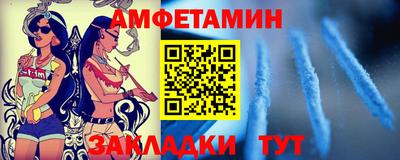 шишки Кандалакша