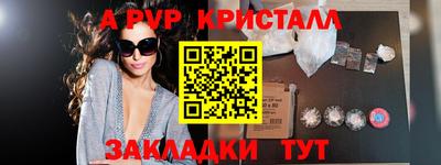 шишки Кандалакша