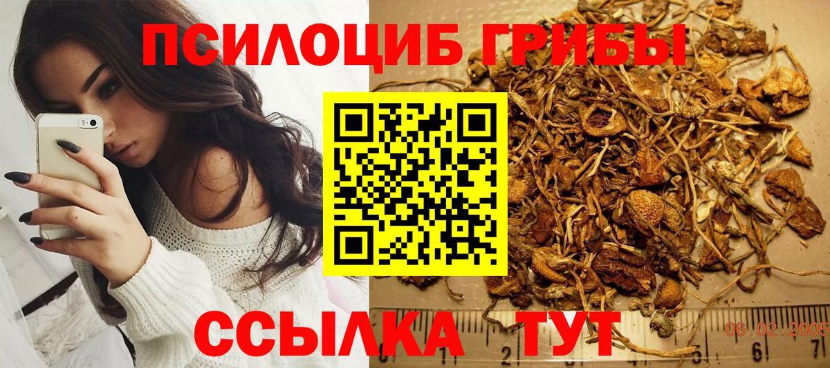 Галлюциногенные грибы Cubensis Лиски